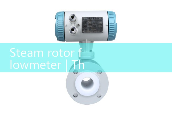 Steam rotor flowmeter
