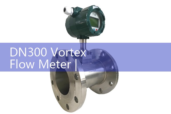 DN300 Vortex Flow Meter