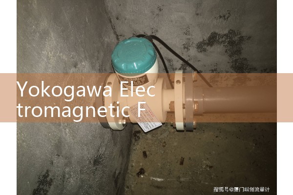 Yokogawa electromagnetic flowmeter from Japan
