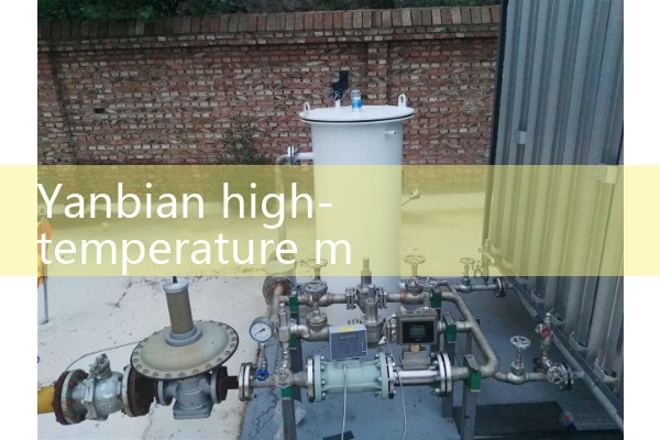 Yanbian High Temperature Mass Flow Meter