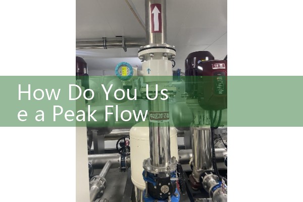 How Do You Use a Peak Flow Meter: Step-by-Step Asthma Guide