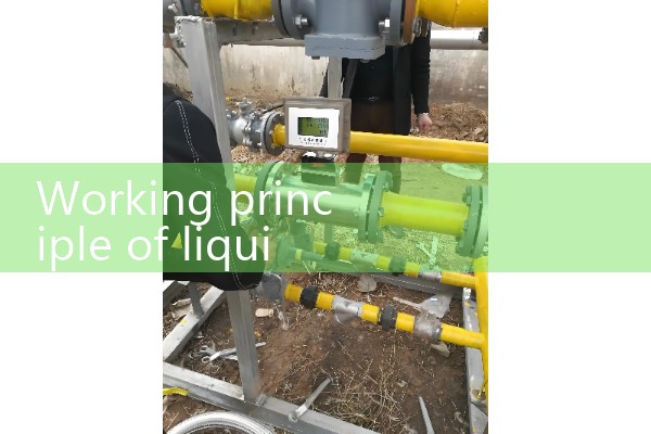 Flow meter damping