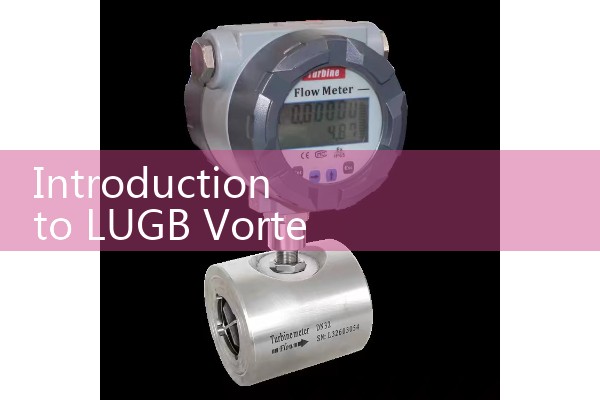 Vortex flowmeter Lugb