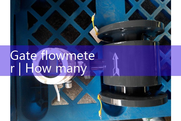 Gate flowmeter