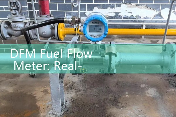 DFM Fuel Flow Meter: Real-Time Fleet Gasoline Consumption Logging Systems