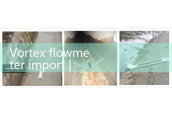 Shandong Low Temperature Mass Flow Meter Manufacturer