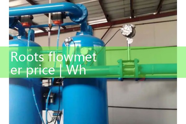 Plastic tube rotor flowmeter