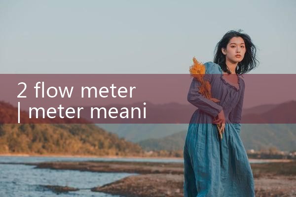 2 flow meter|rotameter flow meter