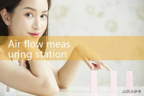 air flow measuring station|rotameter flow meter