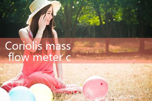 coriolis mass flow meter cost|rotameter flow meter