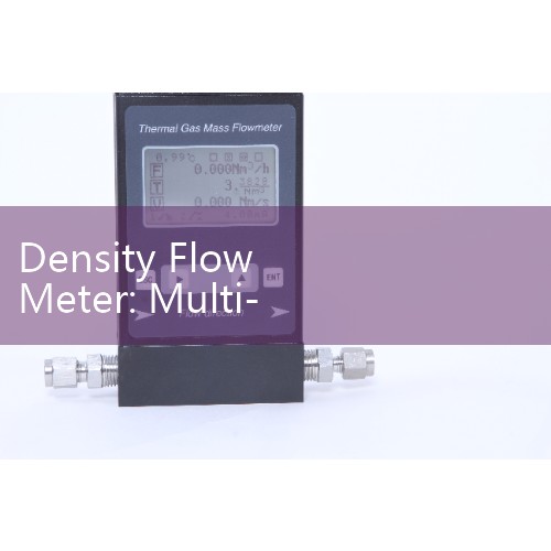Density Flow Meter: Multi-Variable Dynamic Coriolis Inline Sensor Frameworks