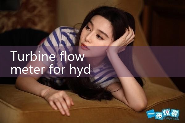 turbine flow meter for hydraulic oil|mass flow meter