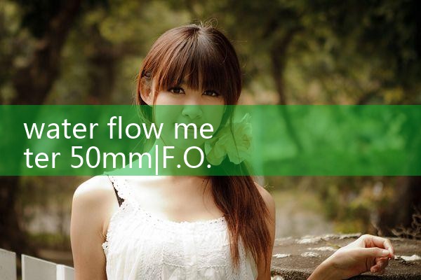 water flow meter 50mm|balo meter