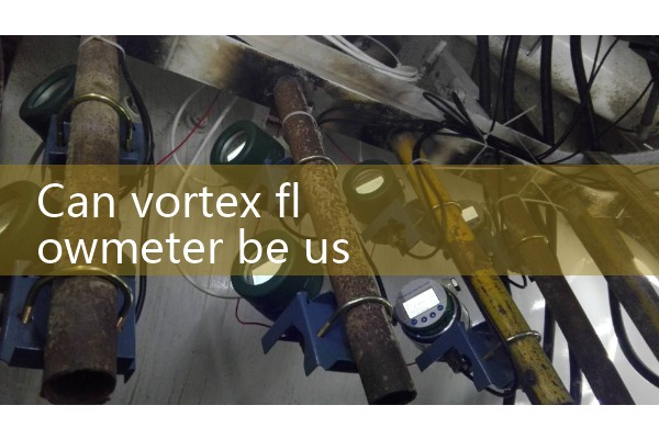 Vortex flowmeter