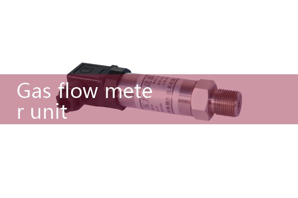 Gas flowmeter unit
