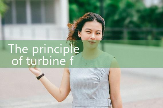 turbine flow meter principle|rotameter flow meter