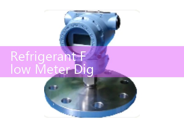 Refrigerant Flow Meter Digital Display: Local Menu Interfaces for Harsh Processing Zones