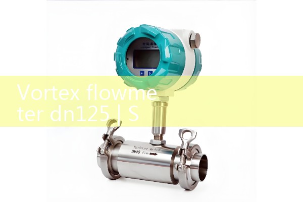 Vortex flowmeter dn125