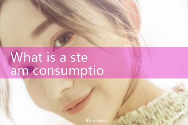 steam consumption meter|balo meter