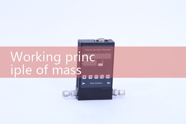 Working principle of mass flowmeter