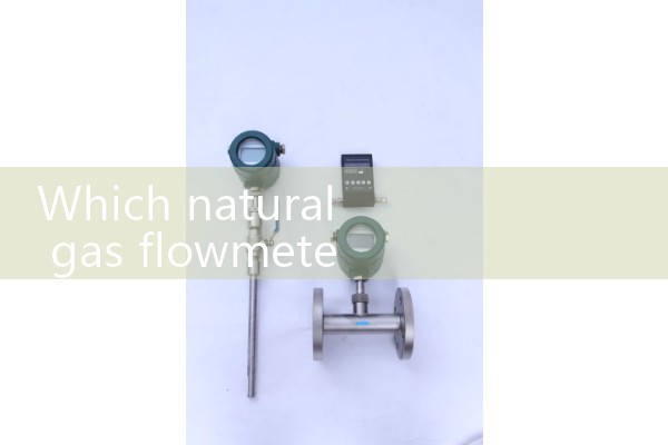 Natural gas flowmeter brand