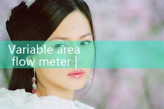 variable area flow meter|rotameter flow meter