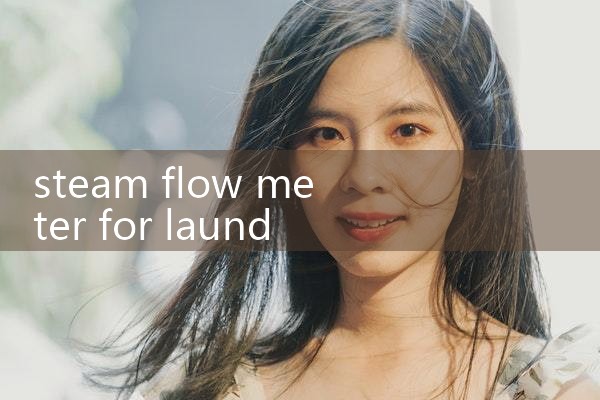 steam flow meter for laundry|balo meter
