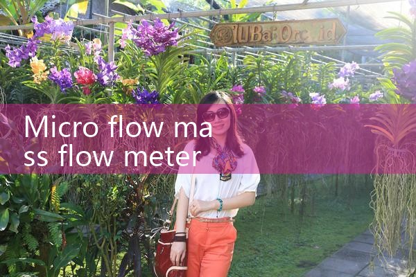 micro flow mass flow meter|rotameter flow meter