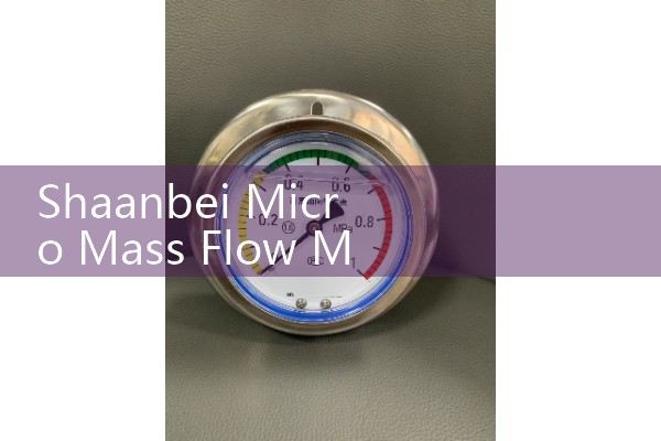 Shaanbei miniature mass flowmeter