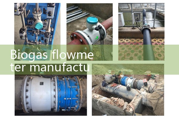 Biogas flowmeter manufacturer