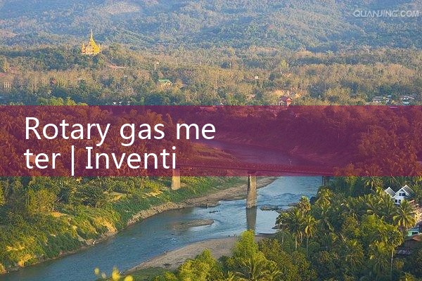 rotary gas meter|thermal flow meter