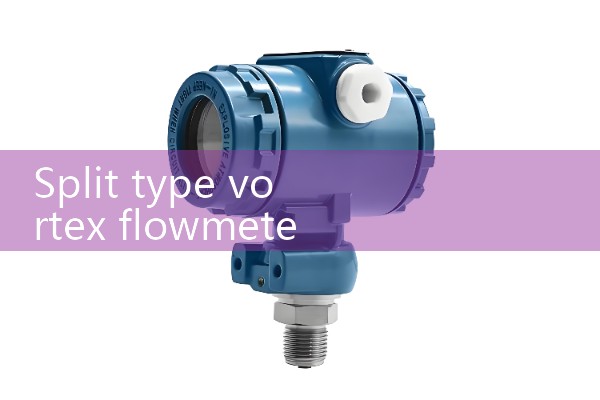 Split type vortex flowmeter
