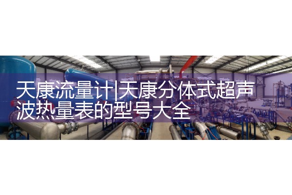 天康流量计