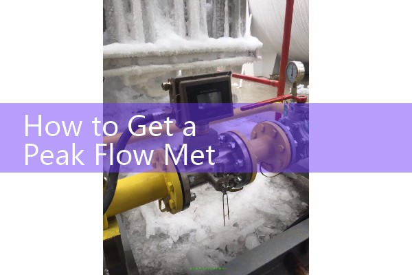 How to Get a Peak Flow Meter: Doctor Prescription Guidelines and Healthcare Resource Lists