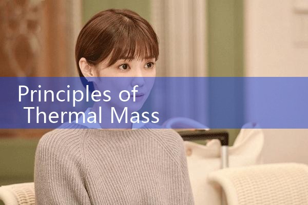 thermal mass flow meter principle|gas flow meter
