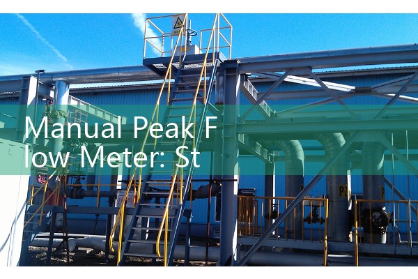 Manual Peak Flow Meter: Standard Mechanical Expiratory Indicators for Asthma Management