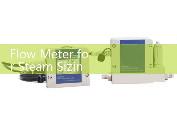 Flow Meter for Steam Sizing: Comparing Vortex and Differential Pressure Technologies