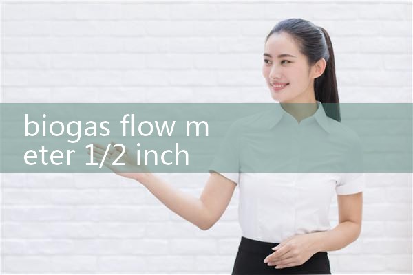 biogas flow meter 1/2 inch|flow meter distributor
