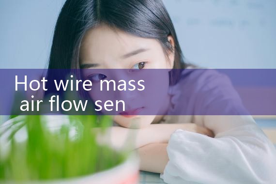 hot wire mass air flow sensor|rotameter flow meter
