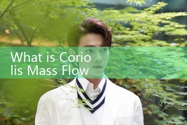 coriolis mass flow meter|gas flow meter