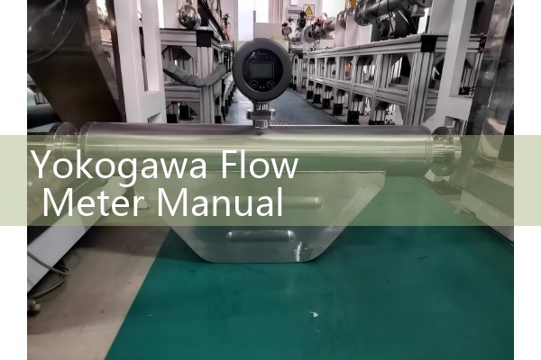 gas flow meter
