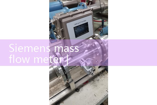siemens mass flow meter