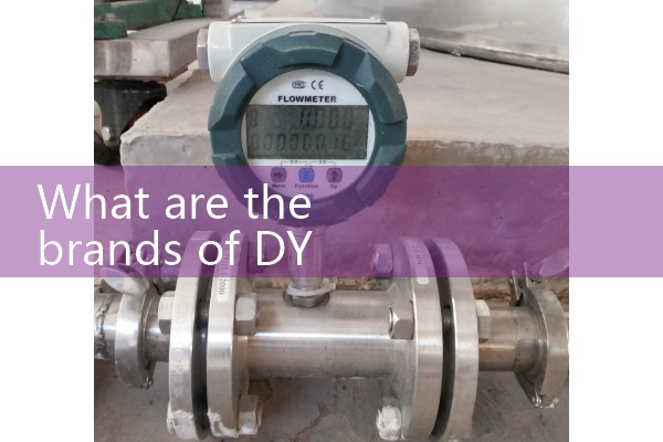 DY flowmeter