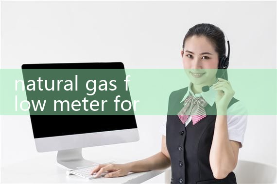 natural gas flow meter for generator|balo meter