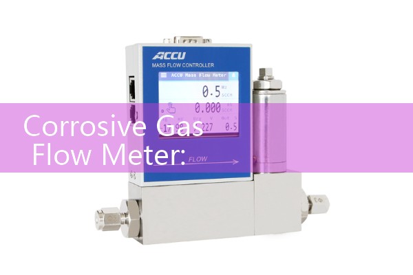 Corrosive Gas Flow Meter: Teflon and Stainless Steel Vapor Sensors