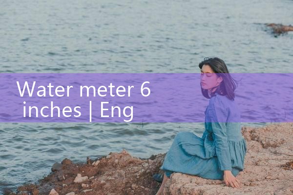 water meter 6 inch|rotameter flow meter