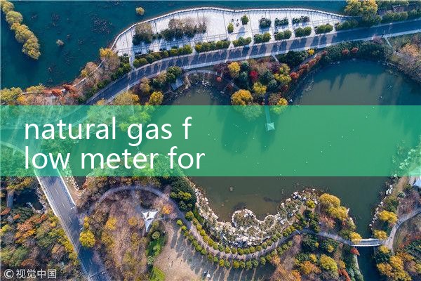 natural gas flow meter for furnace|balo meter