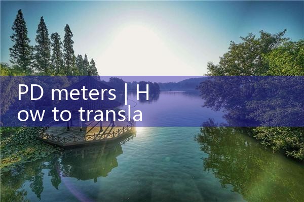 pd meters|thermal flow meter