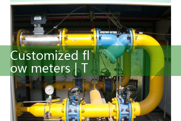 Gas mass flowmeter