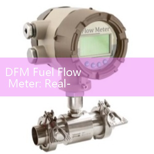 DFM Fuel Flow Meter: Real-Time Fleet Gasoline Consumption Logging Systems